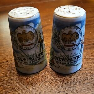 🎉Free With Any Purchase!New Mexico Souvenir Salt and Pepper Shakers